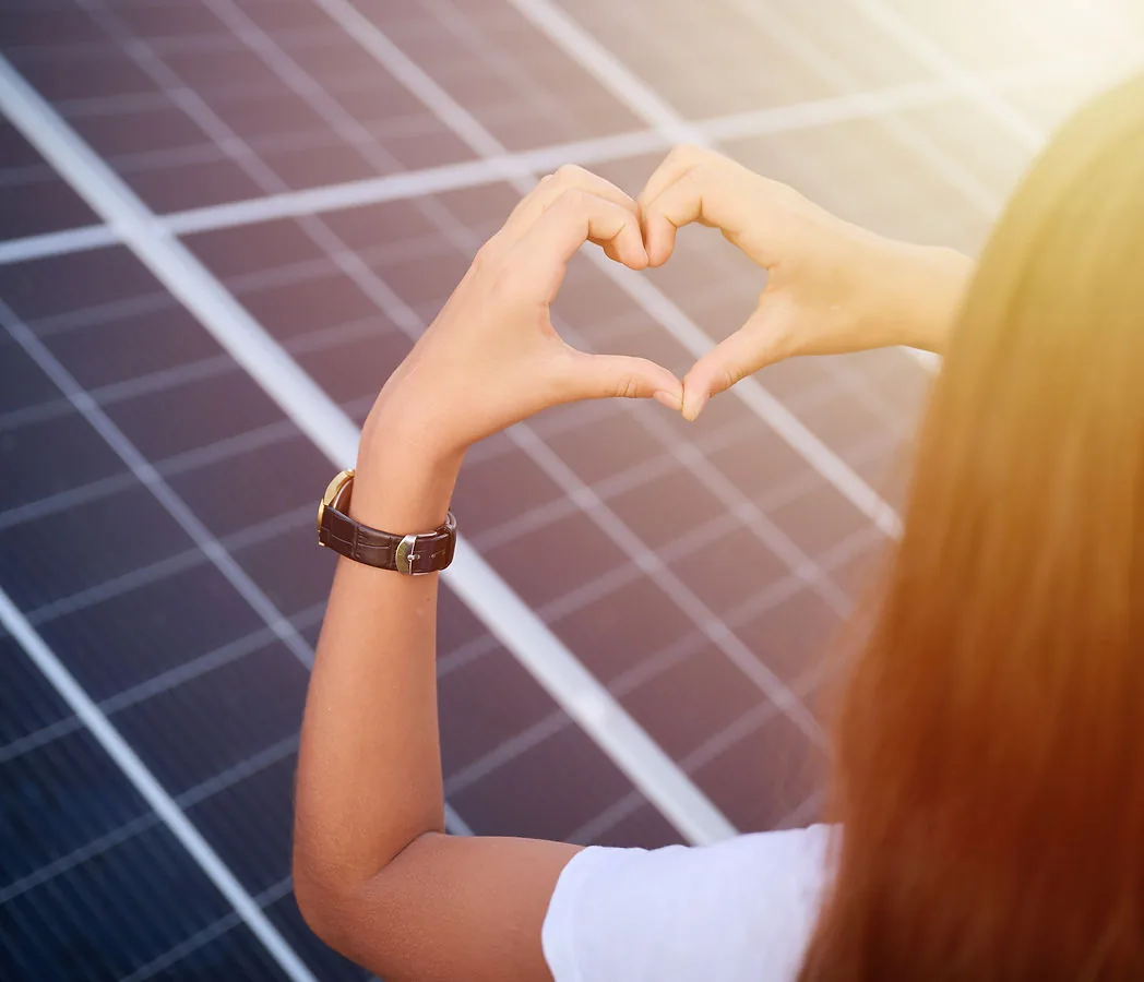 Gereinigte Photovoltaik-Module
